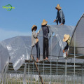 Super strength clear woven greenhouse film